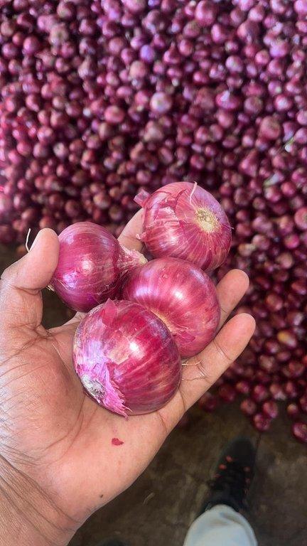 Fresh Onion